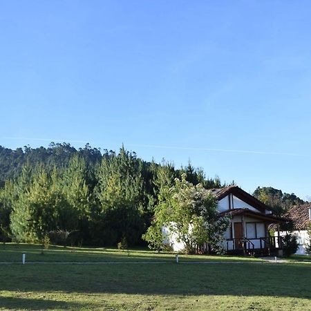Casa Kitsch Hotel Zacatlan Luaran gambar