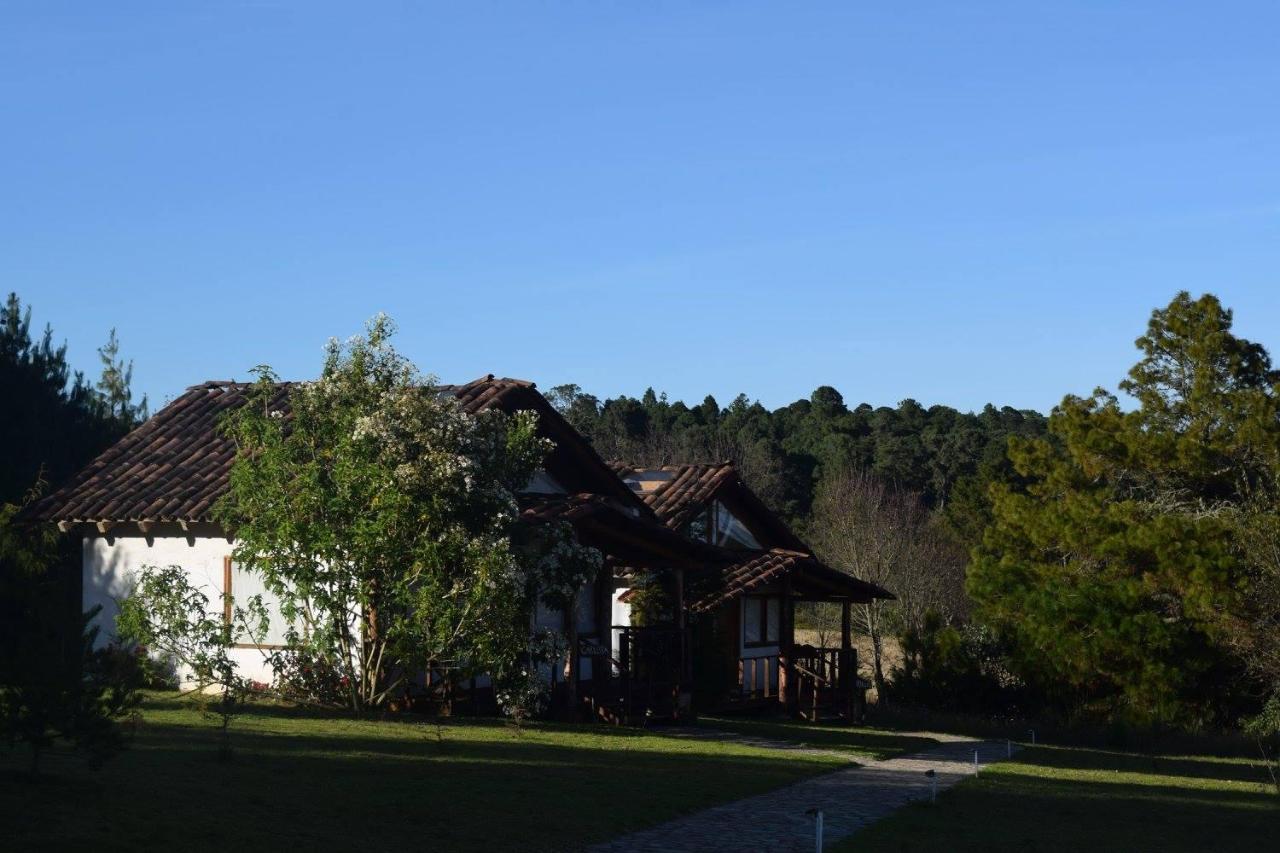 Casa Kitsch Hotel Zacatlan Luaran gambar