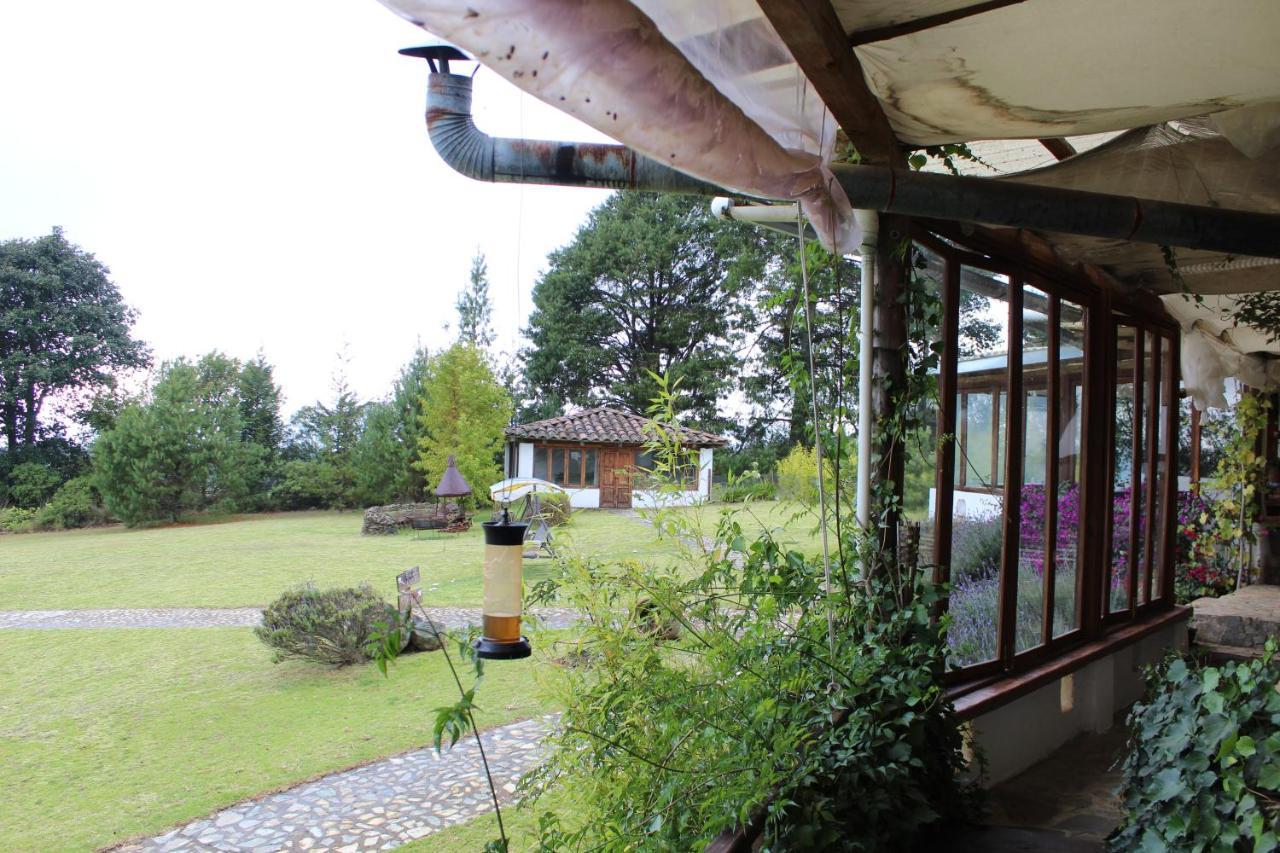 Casa Kitsch Hotel Zacatlan Luaran gambar