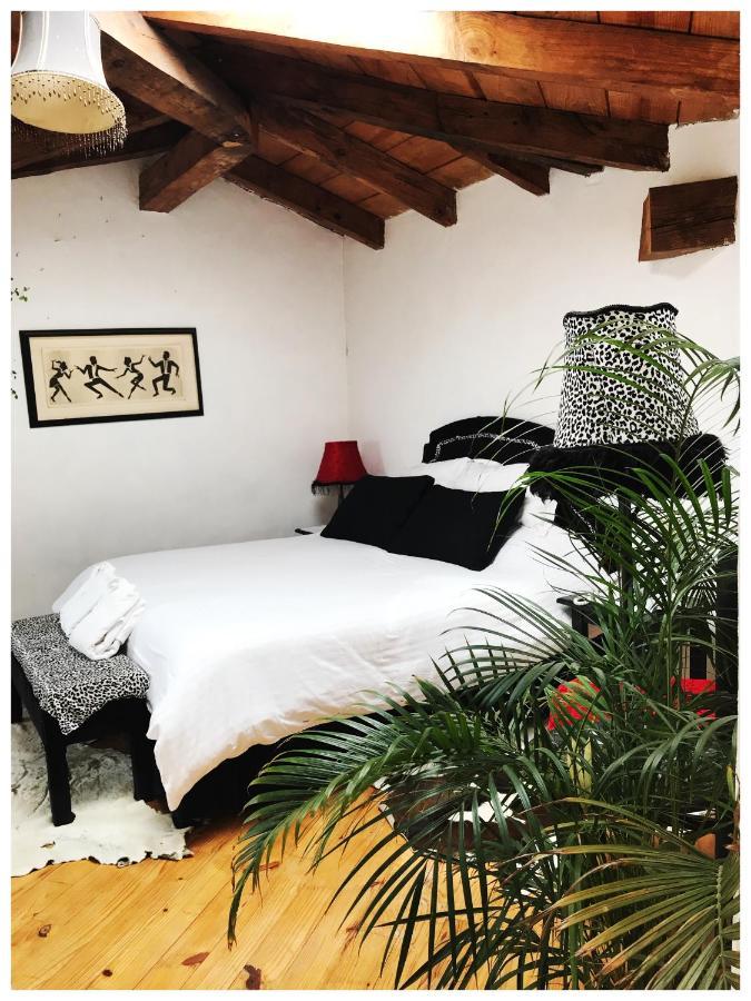 Casa Kitsch Hotel Zacatlan Luaran gambar