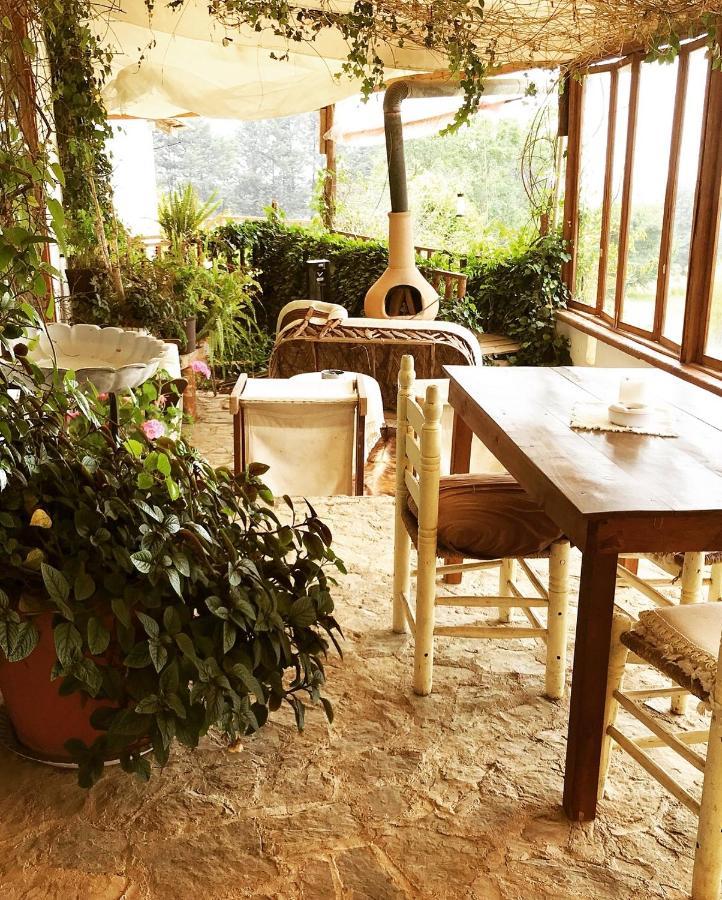 Casa Kitsch Hotel Zacatlan Luaran gambar