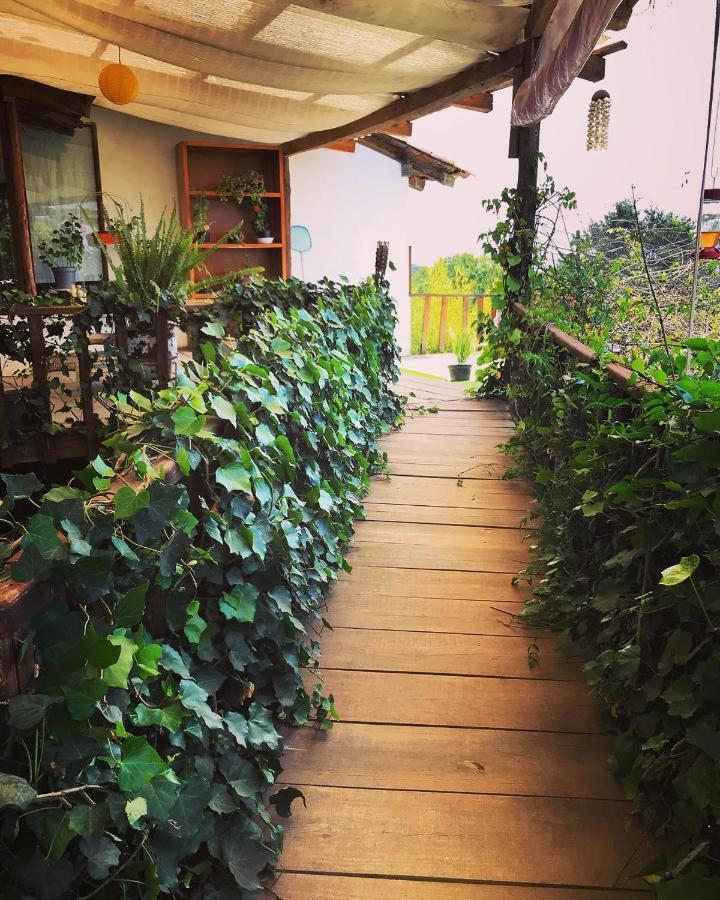 Casa Kitsch Hotel Zacatlan Luaran gambar